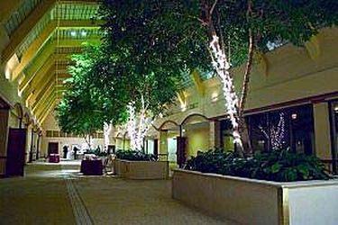 Hôtel Mockingbird à Dallas Extérieur photo